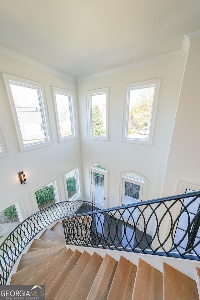 stairs featuring crown molding, hardwood / wood-style floors, and a high ceiling