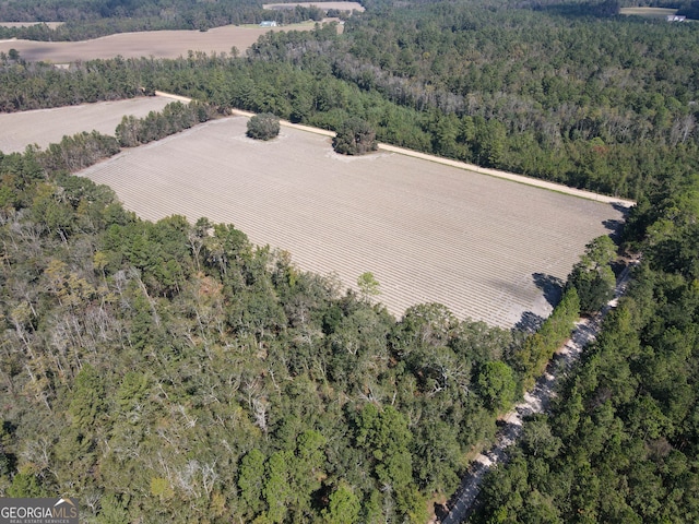 Listing photo 3 for 0 Floyd Rd Lot 8, Pembroke GA 31321