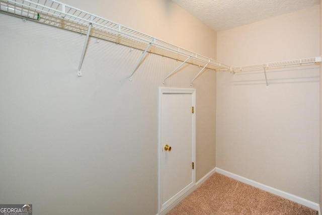 spacious closet with carpet