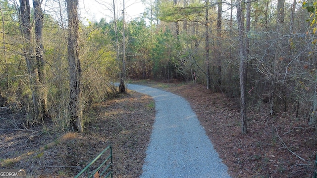 Listing photo 3 for W Highway 136, Talking Rock GA 30175