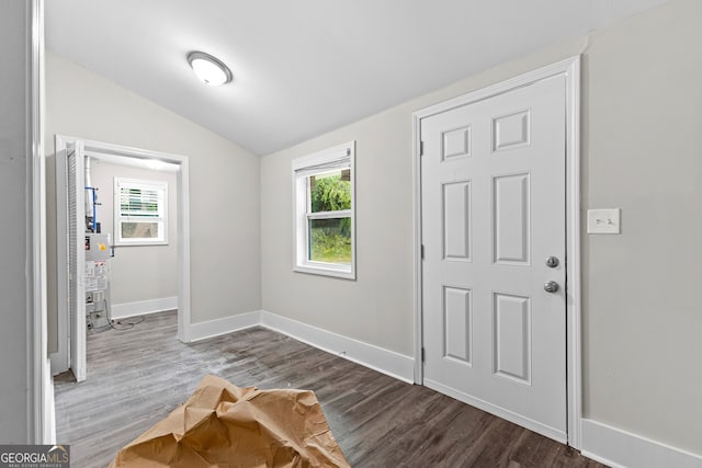 foyer entrance featuring wood-type flooring and vaulted ceiling