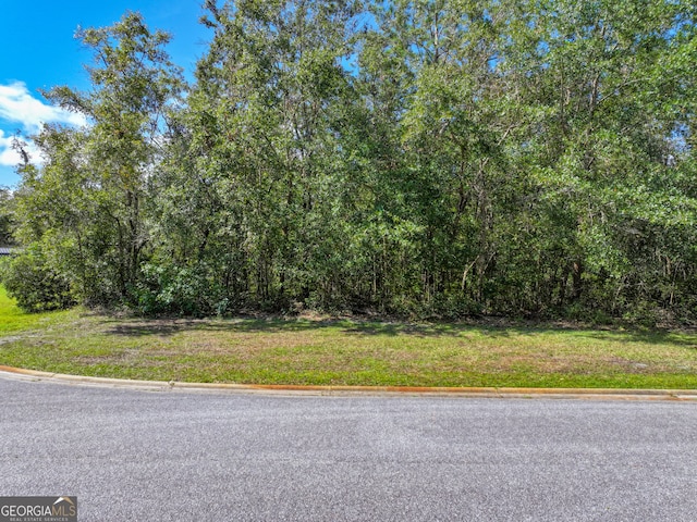 0 Bice Ct, Waverly GA, 31565 land for sale