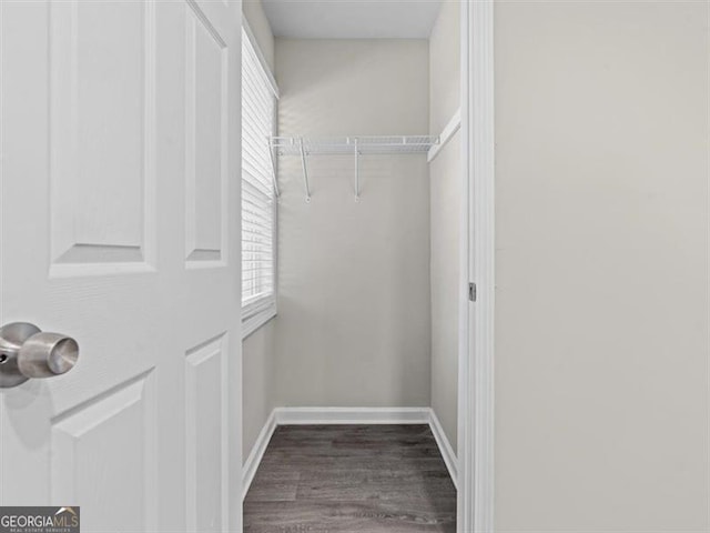 walk in closet with hardwood / wood-style flooring