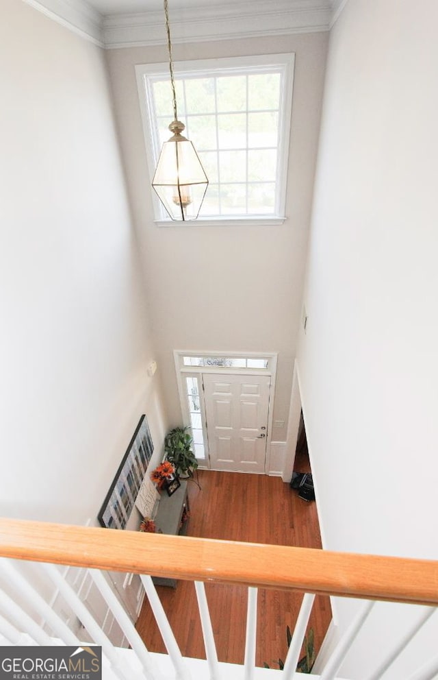 foyer featuring hardwood / wood-style flooring and ornamental molding