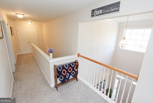 hallway with carpet flooring