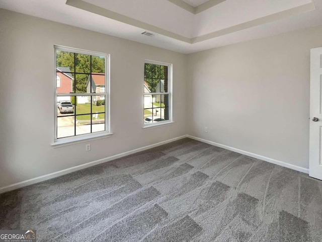 spare room with carpet floors and a raised ceiling