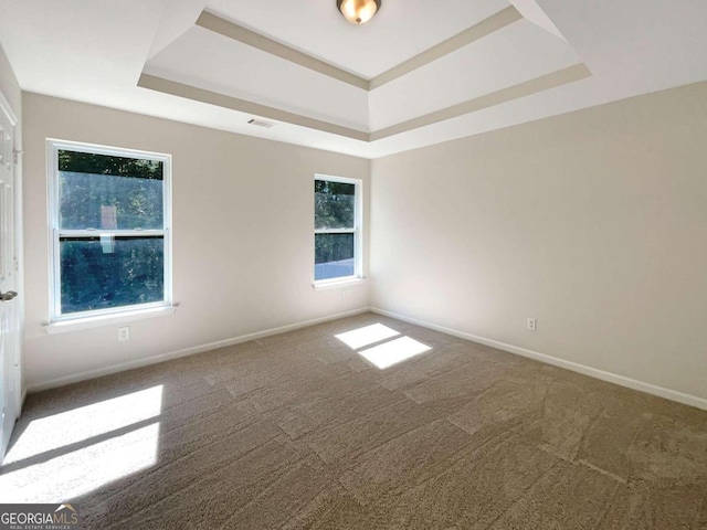 spare room with carpet flooring, a tray ceiling, and plenty of natural light