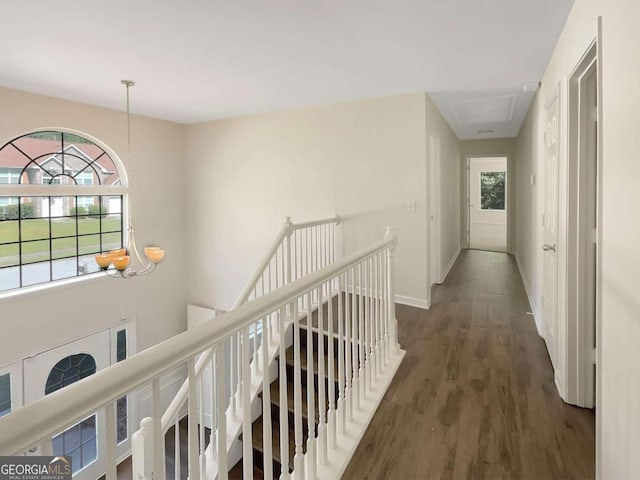 hallway featuring an inviting chandelier and dark wood-type flooring