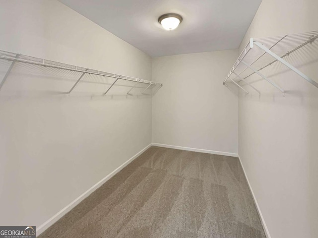 spacious closet featuring carpet floors