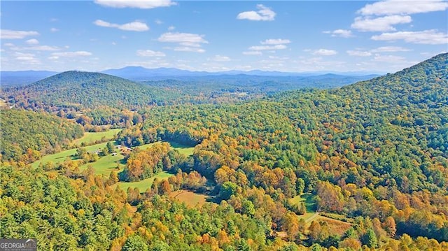 property view of mountains