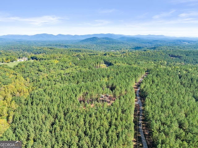 bird's eye view featuring a mountain view