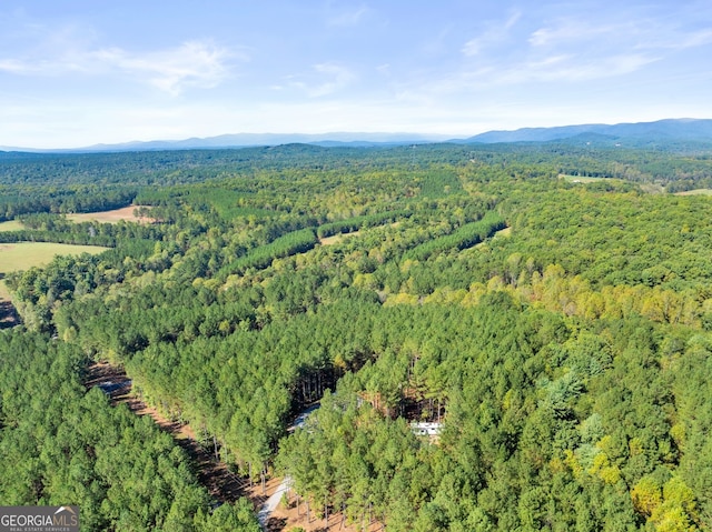 drone / aerial view with a mountain view