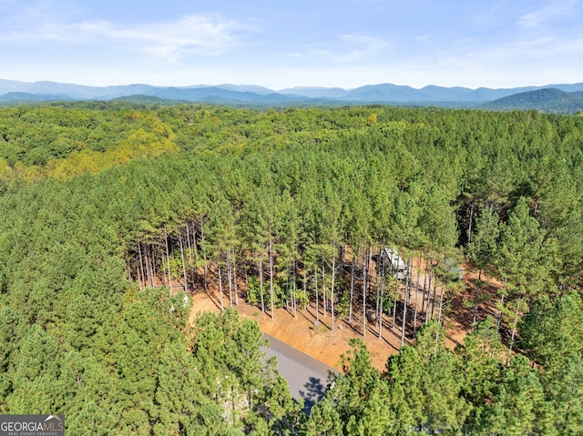 bird's eye view with a mountain view