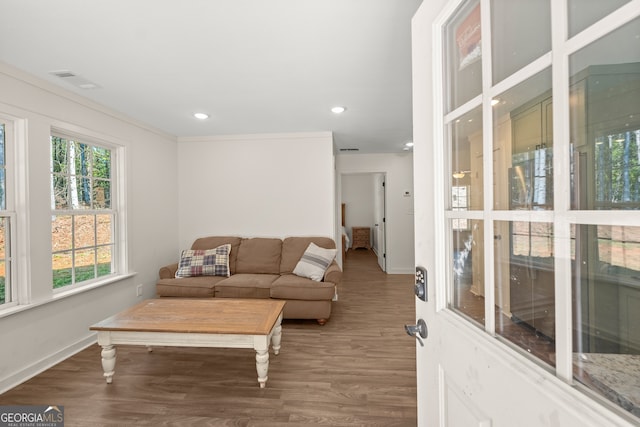 living room with hardwood / wood-style flooring