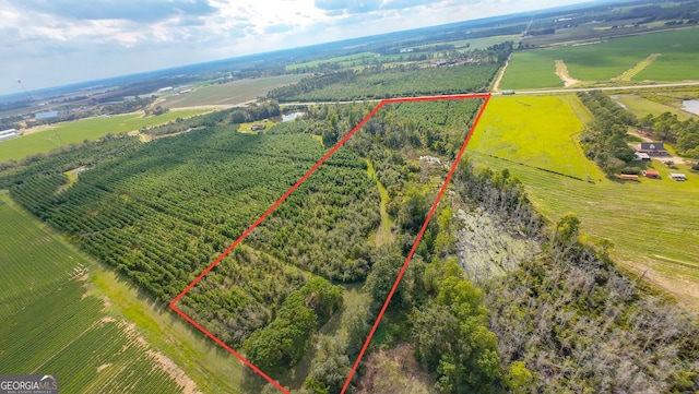 0 Ga Highway 133 N, Doerun GA, 31744 land for sale