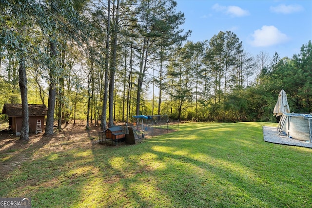 view of yard featuring a storage shed