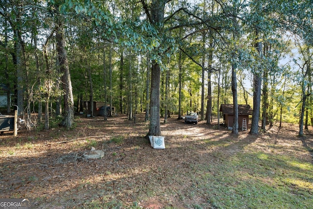 view of yard featuring a storage shed