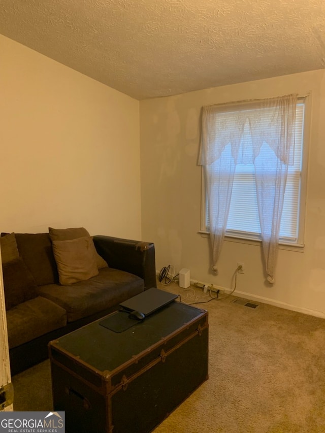 living room featuring carpet floors and a textured ceiling