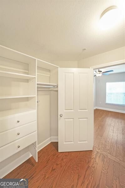 spacious closet featuring wood finished floors