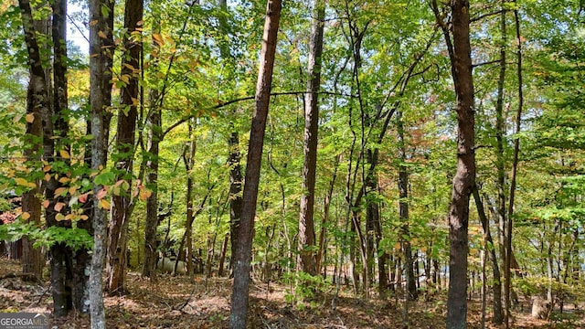 Listing photo 2 for 51ACRES Charlotte Cir, Morganton GA 30560