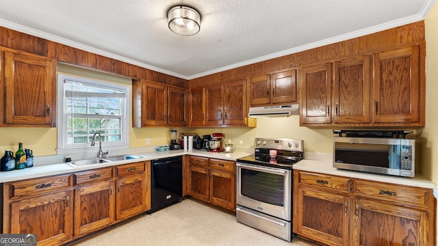 kitchen featuring light carpet, appliances with stainless steel finishes, crown molding, and sink