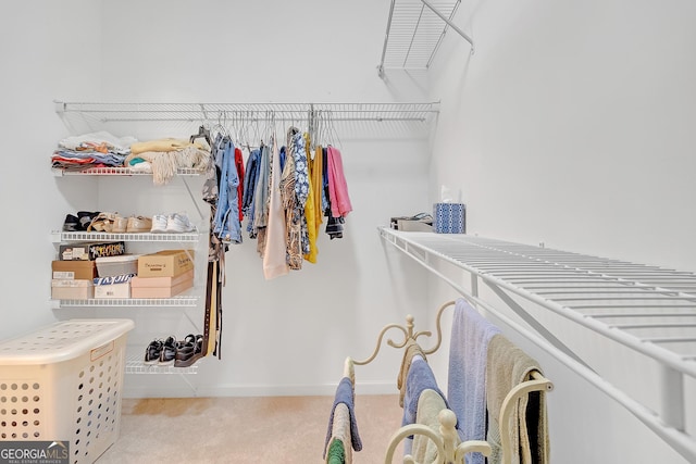 spacious closet with carpet flooring