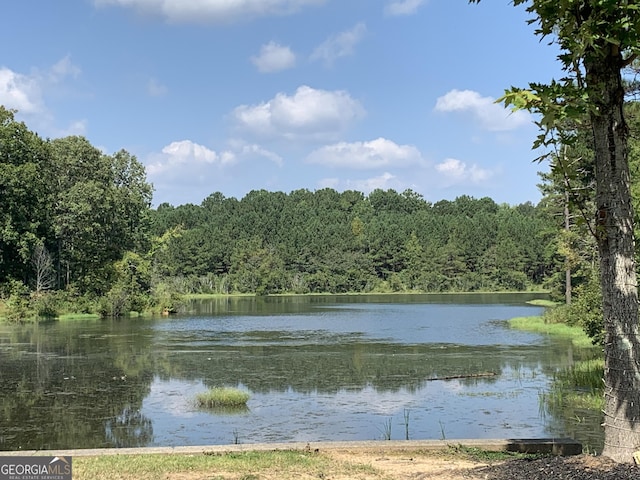 property view of water featuring a wooded view