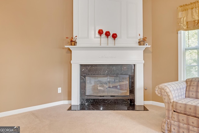 details with a high end fireplace, baseboards, and carpet