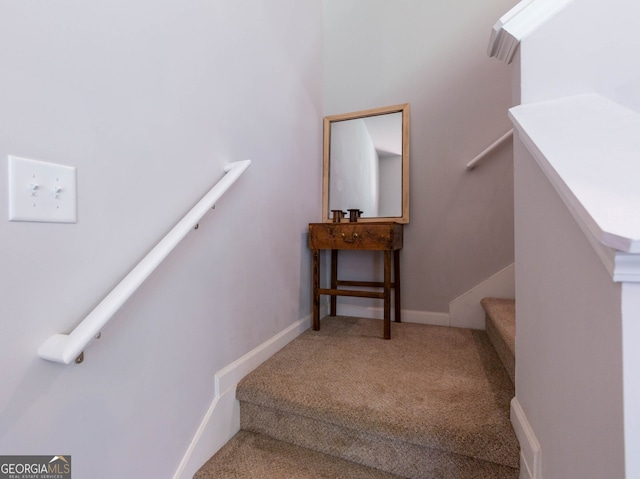 staircase featuring carpet floors