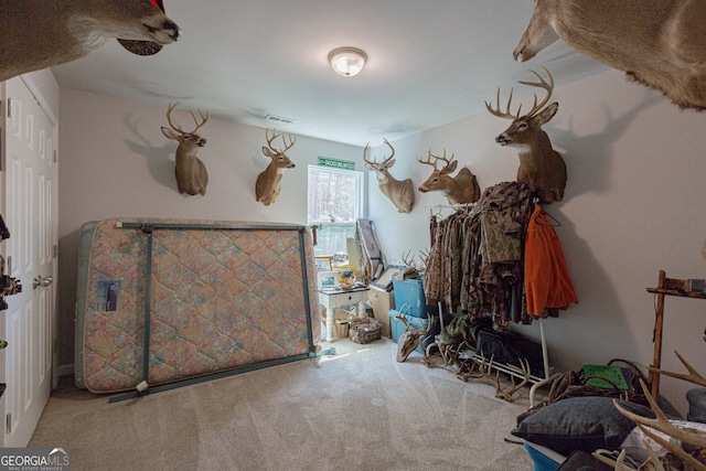 miscellaneous room with carpet floors