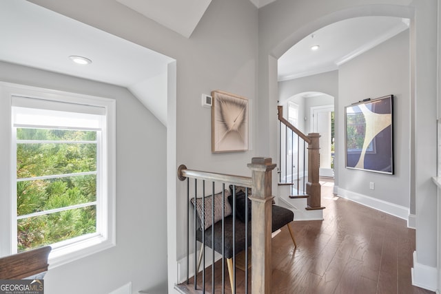 interior space featuring ornamental molding and dark wood-type flooring