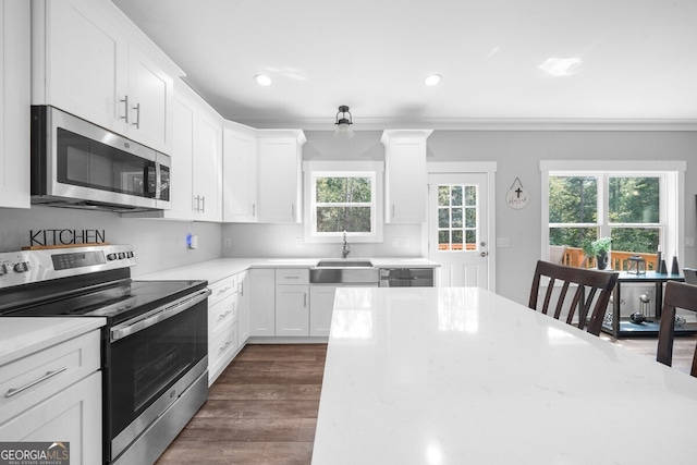 kitchen featuring appliances with stainless steel finishes, white cabinets, light stone countertops, dark hardwood / wood-style flooring, and sink