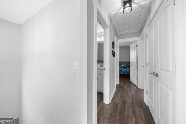 hall with dark wood-type flooring