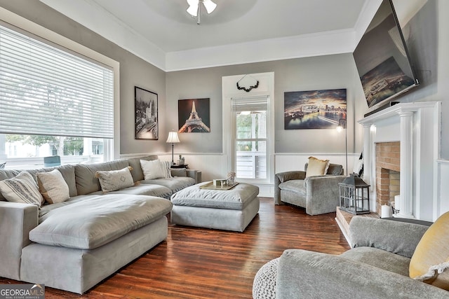 living room featuring ornamental molding, dark hardwood / wood-style floors, and ceiling fan