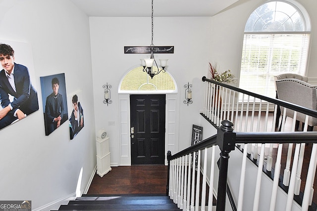 entrance foyer with dark hardwood / wood-style flooring and a wealth of natural light