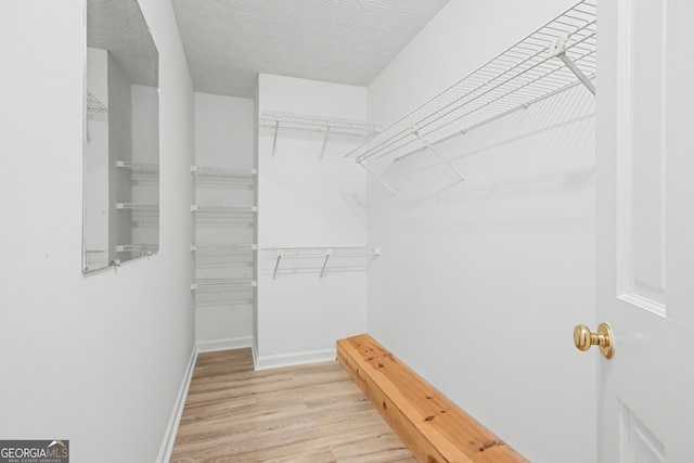 spacious closet featuring light wood-type flooring