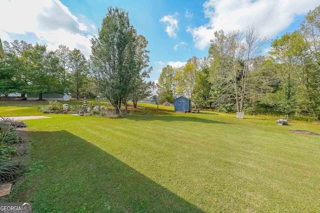 view of yard featuring a storage shed