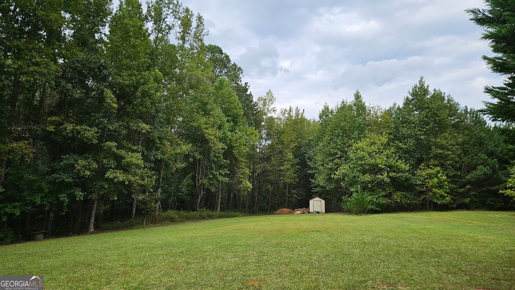 view of yard with a shed