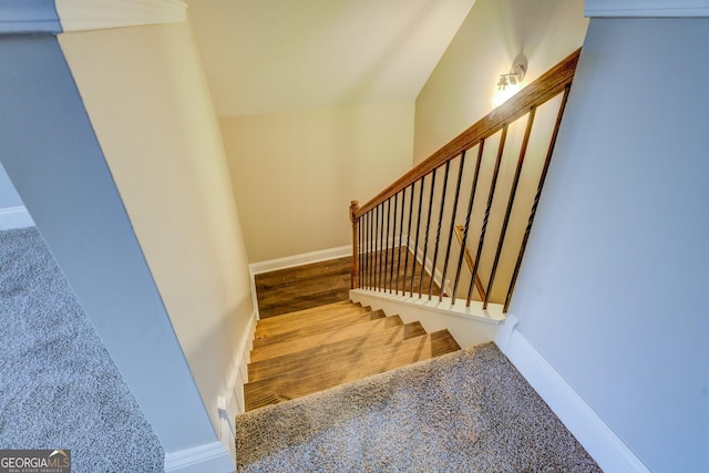 staircase featuring carpet