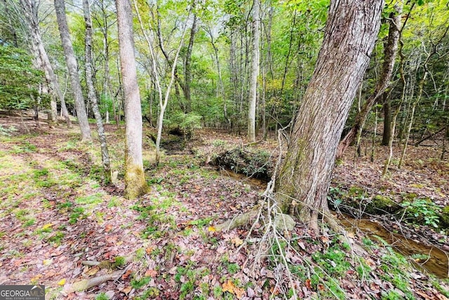 view of local wilderness