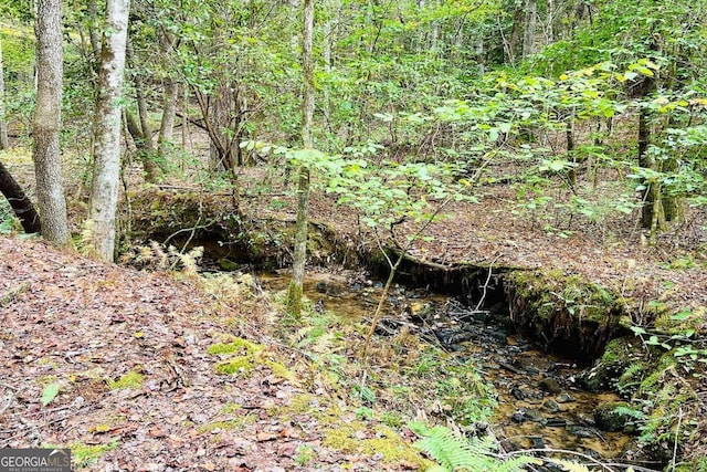 view of local wilderness