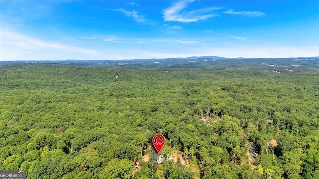 107 Marks Way, Canton, GA 30115 - drone / aerial view of a heavily wooded area