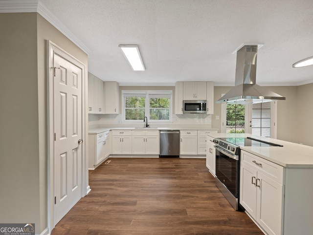 kitchen with appliances with stainless steel finishes, white cabinetry, decorative backsplash, sink, and island range hood