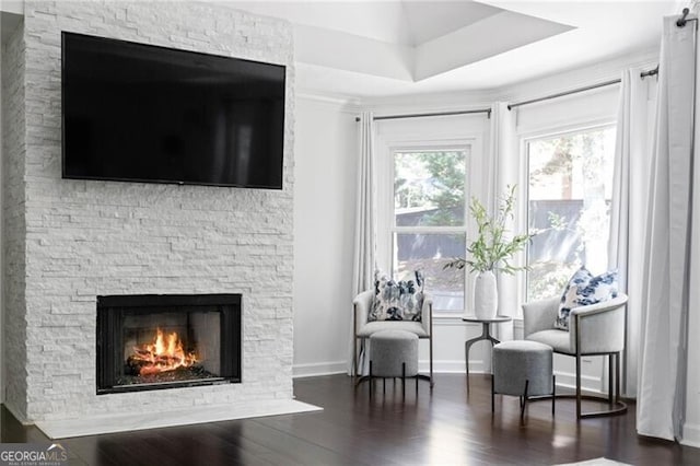 living room featuring dark hardwood / wood-style flooring and a stone fireplace