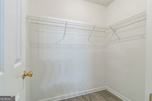 walk in closet featuring wood-type flooring