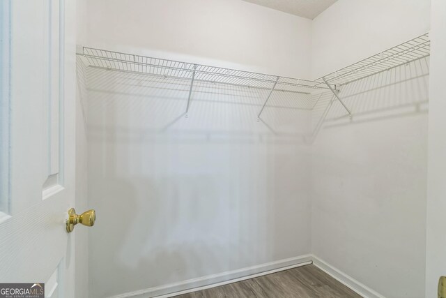 spacious closet featuring dark wood-style flooring