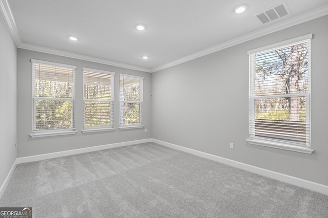 carpeted empty room with plenty of natural light and ornamental molding