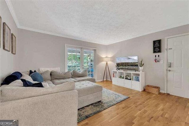 living room with hardwood / wood-style floors, a textured ceiling, and crown molding