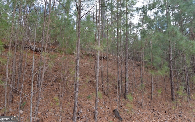 LOT64 Meadow Brooke, Young Harris GA, 30582 land for sale