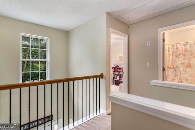 hall featuring light colored carpet and a textured ceiling